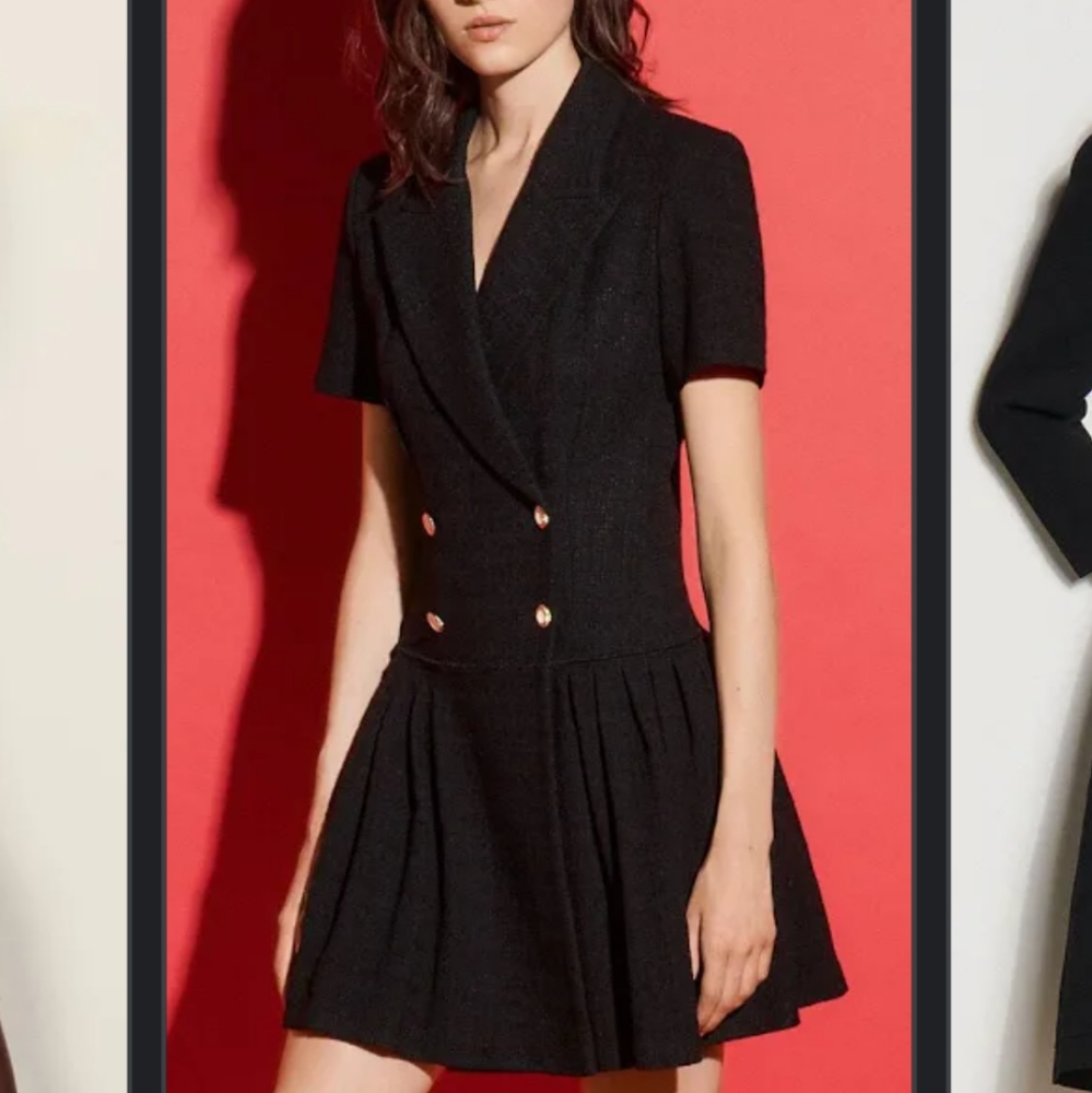 NWT Sandro Dress